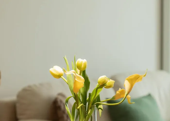 Easy-rent 310b, Widok Na Morze, Basen Kryty, Klimatyzacja, Sauna, Jacuzzi - W Cenie Apartamentu Lejlighed